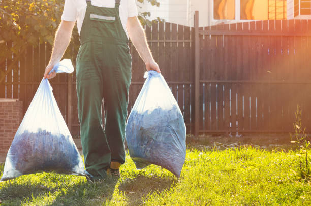 Best Basement Cleanout  in Rock Rapids, IA